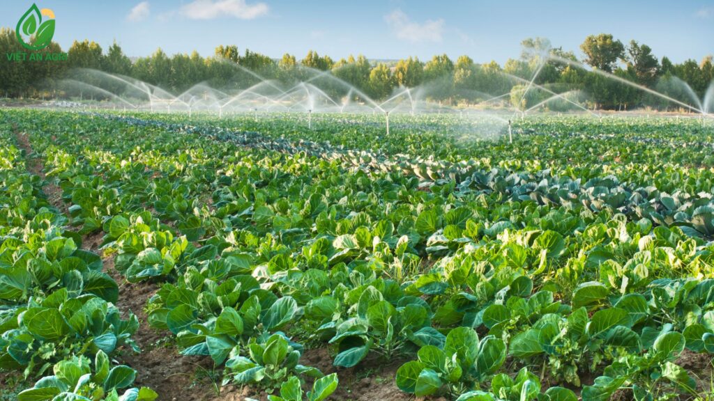 Ngành cung ứng nông sản đầu vào