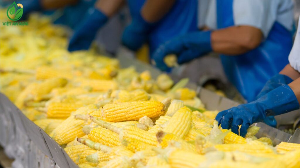 Ngành cung ứng nông sản đầu vào