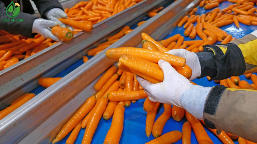 Ngành cung ứng nông sản đầu vào