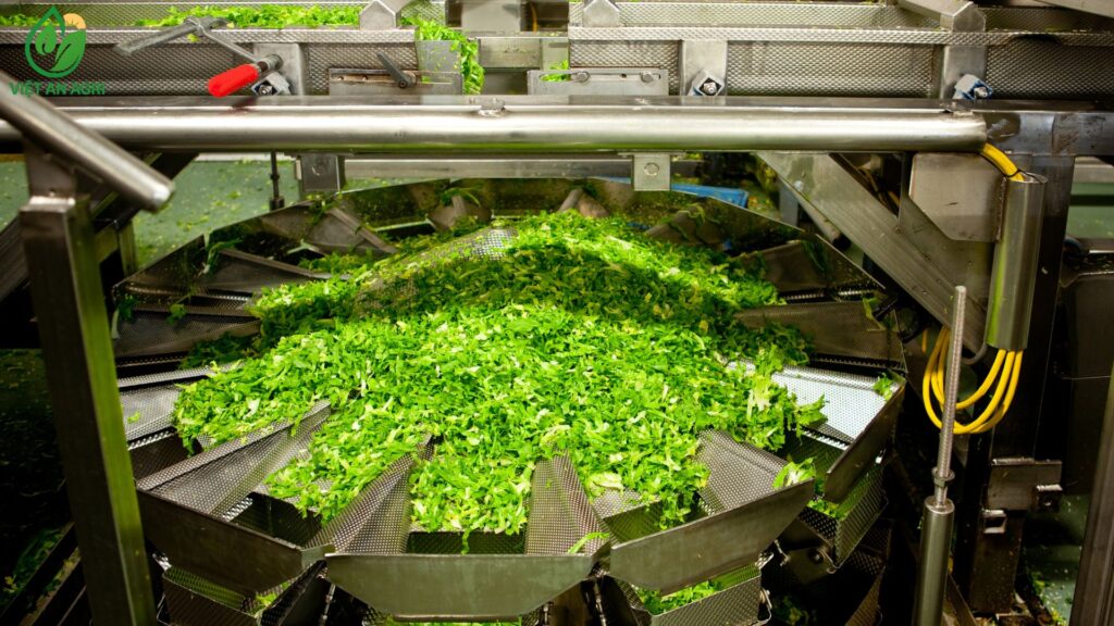 Quy trình cung ứng nông sản công nghiệp