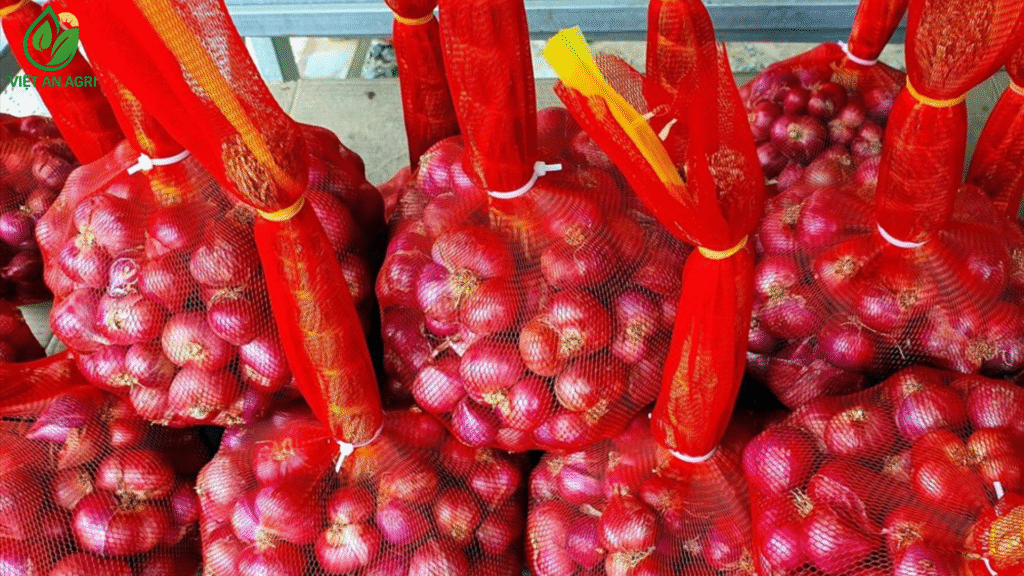 hành tím vĩnh châu