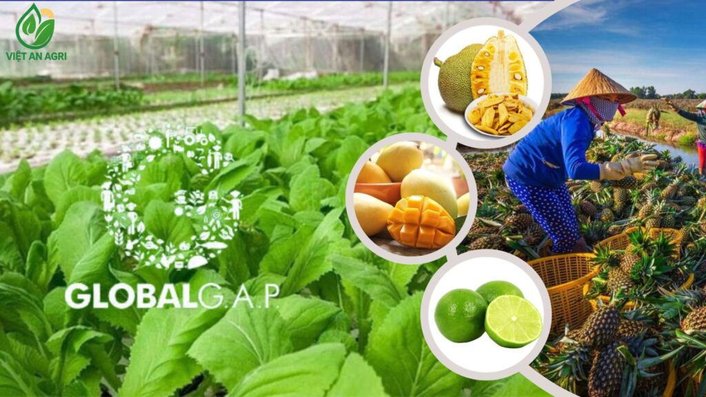 tiêu chuẩn chất lượng nông sản