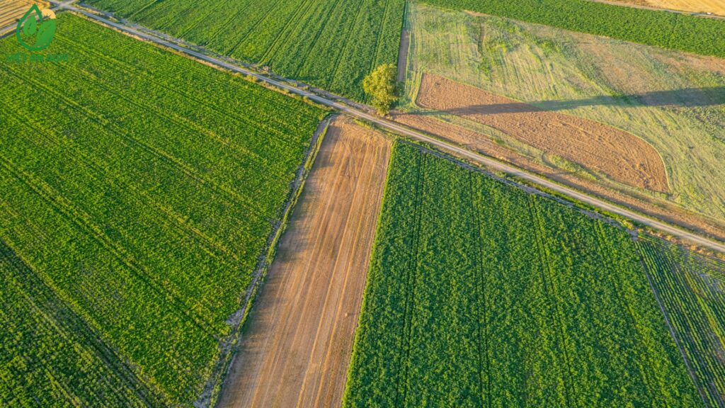 công ty cung ứng chuyên nghiệp