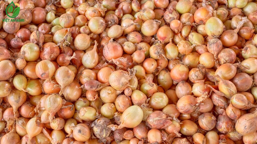 công ty cung ứng chuyên nghiệp