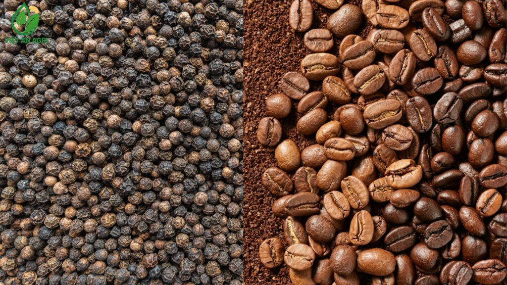 Các loại nông sản