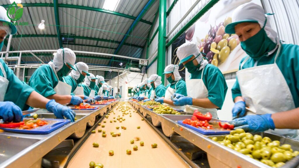 cung ứng nhà máy