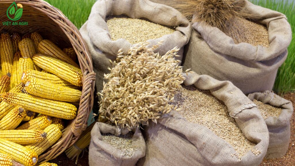 So sánh nông sản nhập khẩu và nông sản Việt Nam