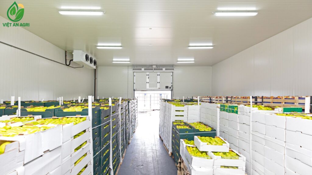 Hệ thống kho lạnh