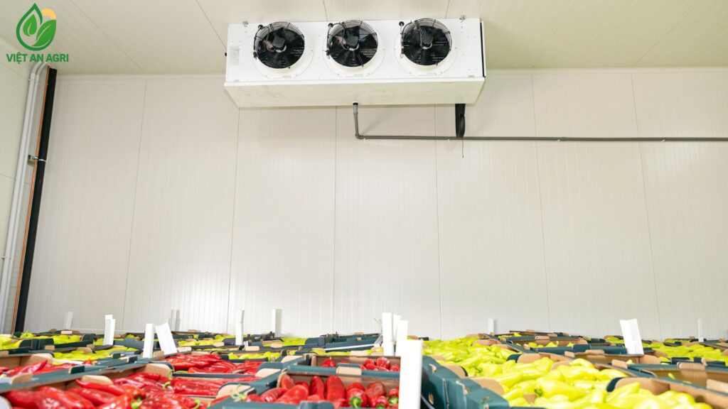 Hệ thống kho lạnh