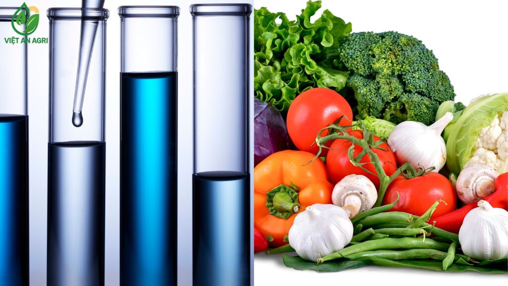 kiểm nghiệm nông sản