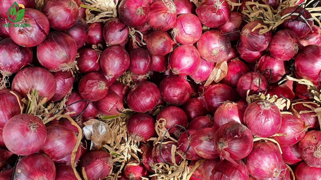 Đảm bảo đồng nhất chất lượng nông sản