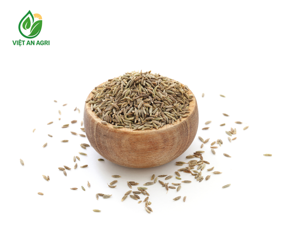 Hạt thì là cumin