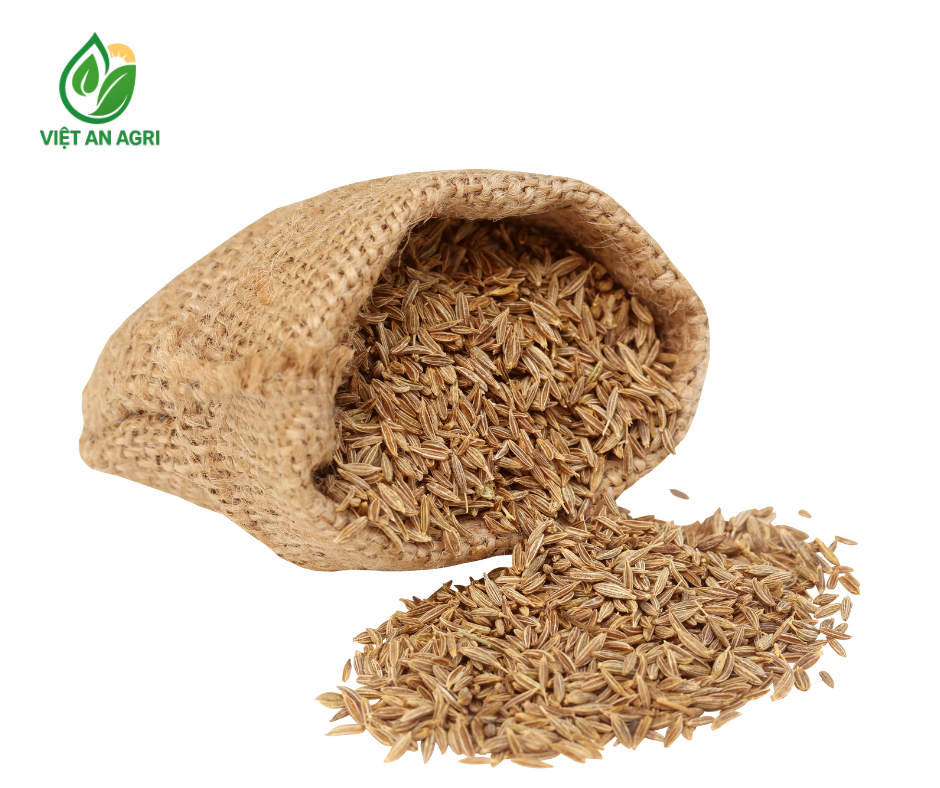 Hạt thì là cumin