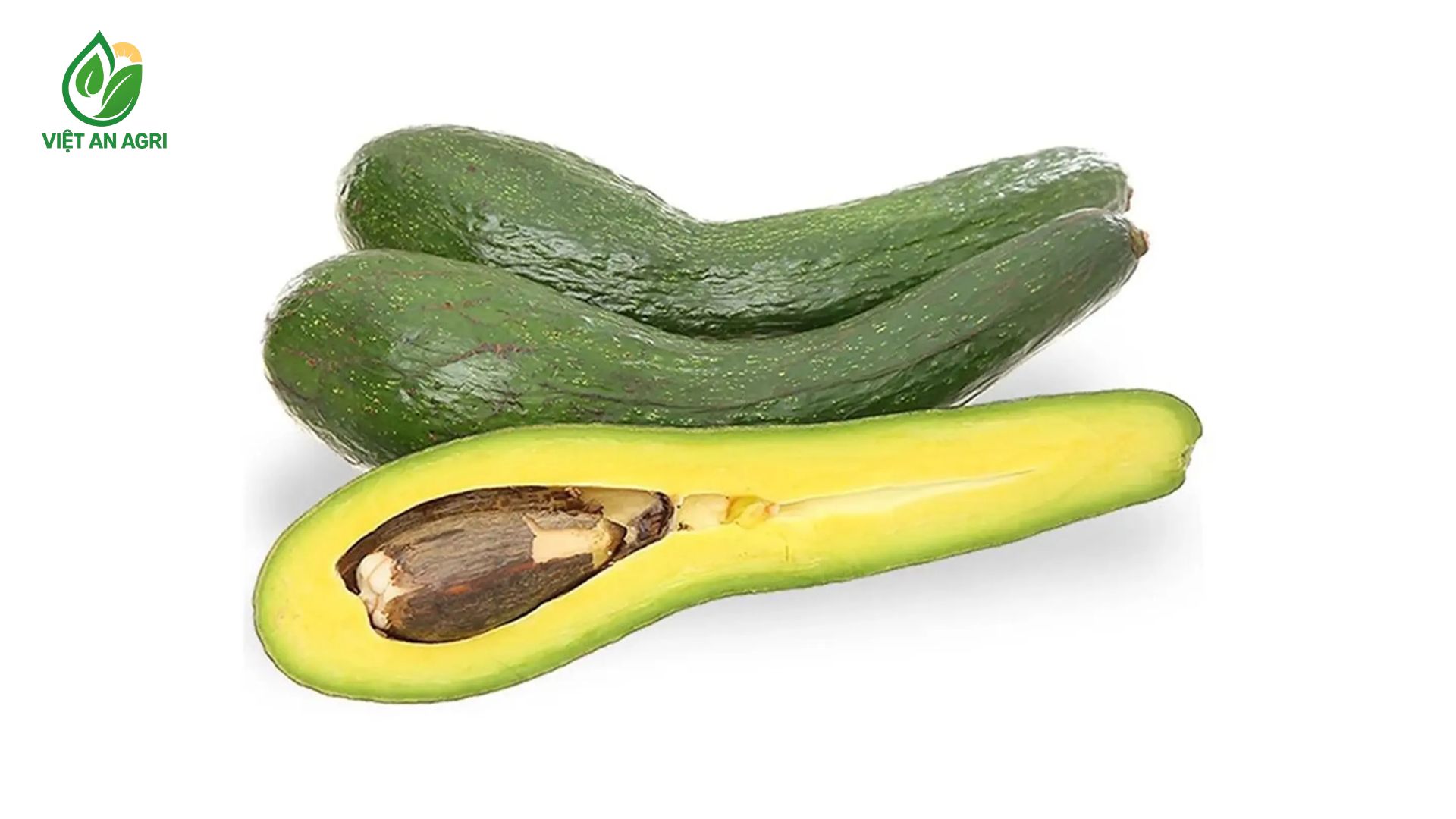 Vì sao bơ 034 phù hợp để làm bơ xay nhuyễn đông lạnh?