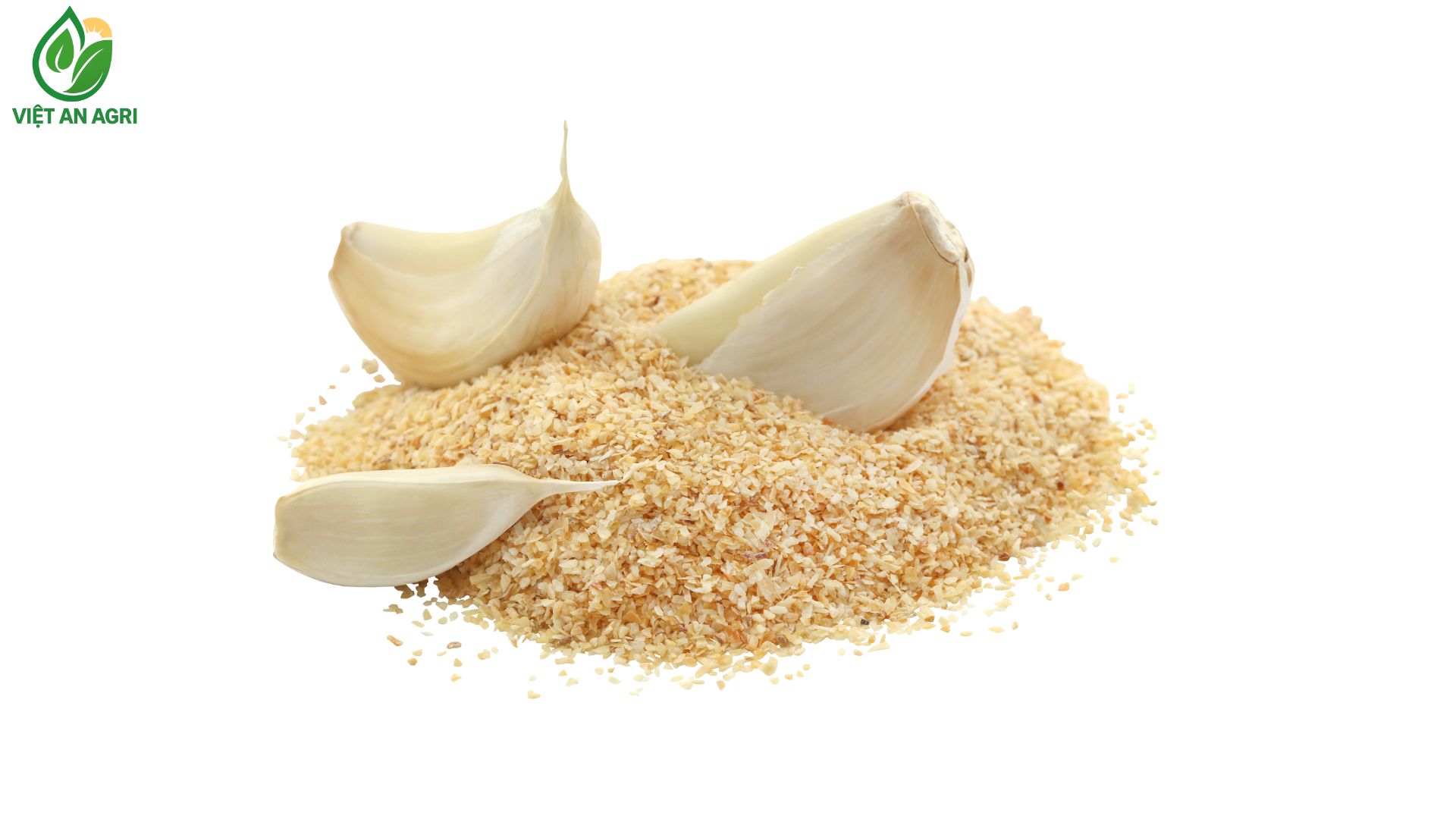 Ba-Tép-tỏi-đặt-trên-đống-Bột-tỏi-khô-hoặc-tỏi-xay-nhuyễn-trên-nền-trắng-với-logo-Việt-An-Agri