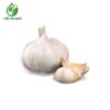 tỏi tươi Trung Quốc
