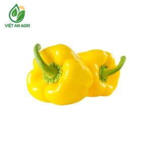 ớt chuông vàng