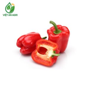ớt chuông đỏ