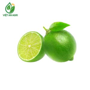 chanh quả không hạt