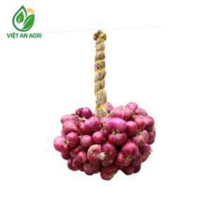 hành tím vĩnh châu