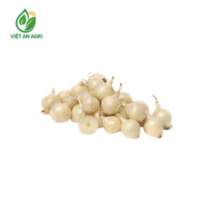 Hành tăm lột vỏ