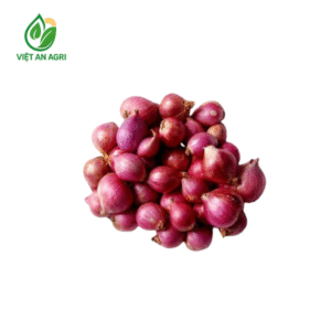 Hành tím Ấn Độ lột vỏ