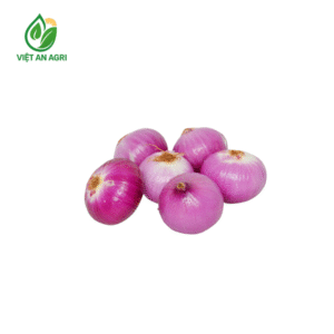 Hành tím Indo lột vỏ