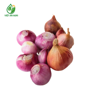 Hành tím lột vỏ