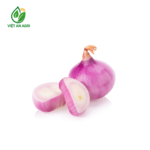 Hành tím Ninh Thuận lột vỏ