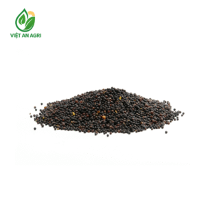 Hạt mù tạt đen