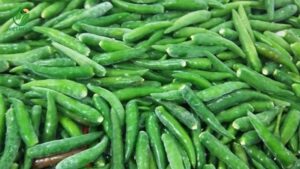 Ớt xiêm xanh lặt cuống