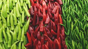 Mua ớt sừng sỉ