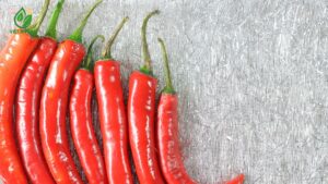 nguồn hàng ớt sừng ổn định